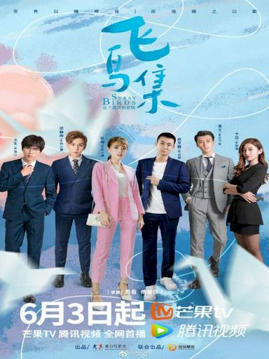 2021 - Phim Bộ《Bầy Chim Lạc》- Xem phim HD Online