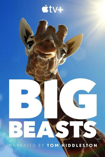 2023 - TV Shows《Big Beasts》- Xem phim HD Online