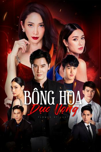 2022 - Phim Bộ《Bông Hoa Dục Vọng》- Xem phim HD Online