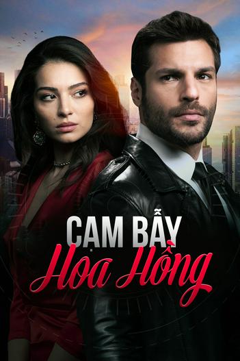 2020 - Phim Bộ《Cạm Bẫy Hoa Hồng》- Xem phim HD Online