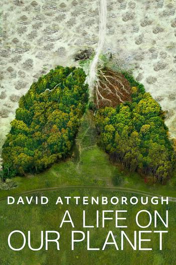 2020 - Phim lẻ《David Attenborough: Một cuộc đời trên Trái Đất》- Xem phim HD Online