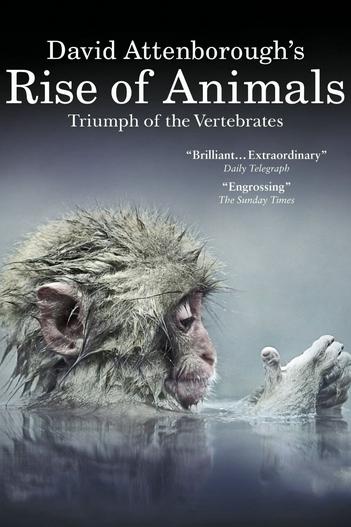 2013 - Phim Bộ《David Attenborough's Rise of Animals: Triumph of the Vertebrates》- Xem phim HD Online