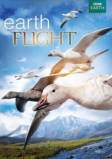 2011 - Phim Bộ《Earthflight》- Xem phim HD Online