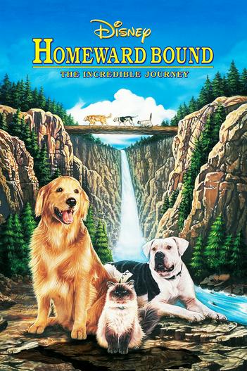 1993 - Phim lẻ《Homeward Bound: The Incredible Journey》- Xem phim HD Online