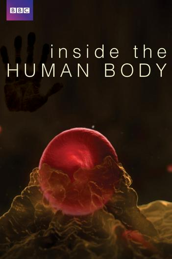 2011 - Phim Bộ《Inside the Human Body》- Xem phim HD Online