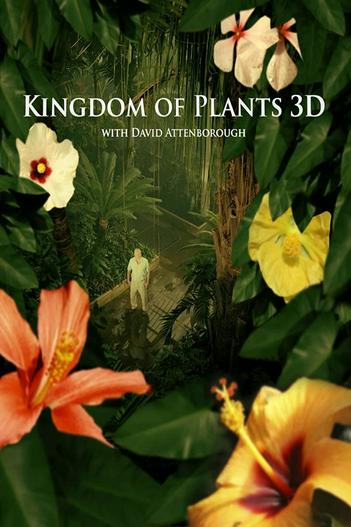 2012 - Phim Bộ《Kingdom of Plants》- Xem phim HD Online