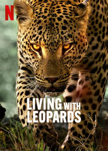 2024 - Phim lẻ《Living with Leopards》- Xem phim HD Online