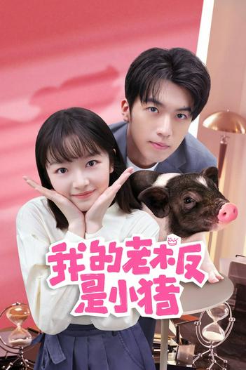 2024 - Phim Bộ《Sếp Của Tôi Là Chú Lợn Nhỏ》- Xem phim HD Online