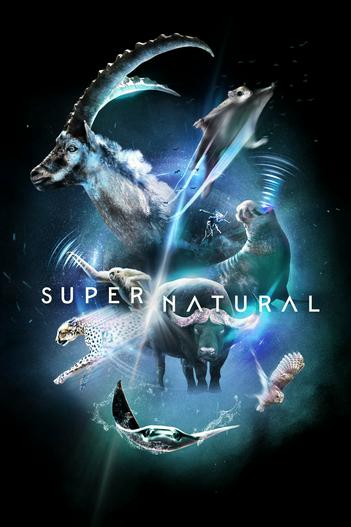 2022 - Phim Bộ《Super/Natural》- Xem phim HD Online