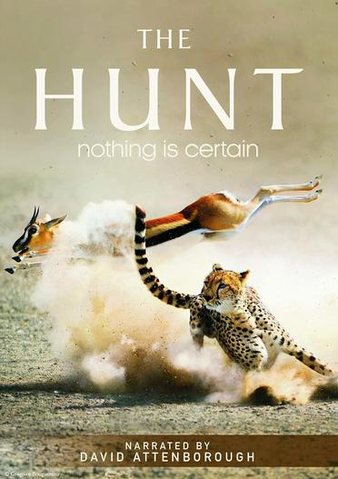 2015 - Phim lẻ《The Hunt》- Xem phim HD Online