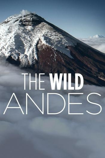 2018 - Phim Bộ《The Wild Andes》- Xem phim HD Online