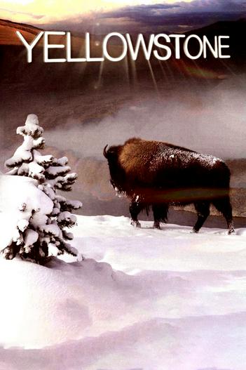 2009 - Phim Bộ《Yellowstone》- Xem phim HD Online